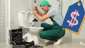 cout debouchage wc