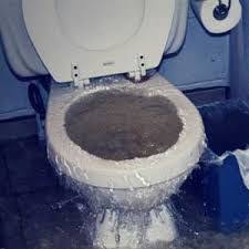 Coût du Débouchage de Toilette : Tarifs et Services pour un Débouchage Efficace