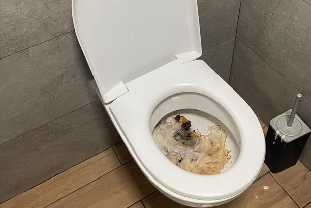 Comment Déboucher Efficacement des Toilettes : Astuces et Méthodes Utiles