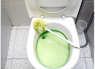 Comment Déboucher Facilement une Toilette : Astuces Efficaces et Rapides