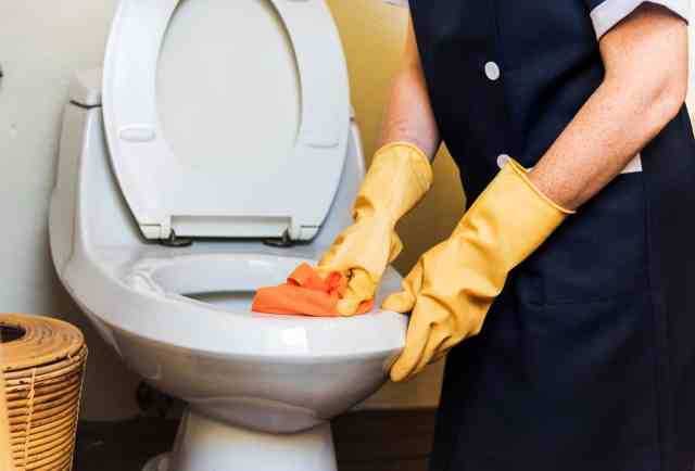 déboucher toilette cintre