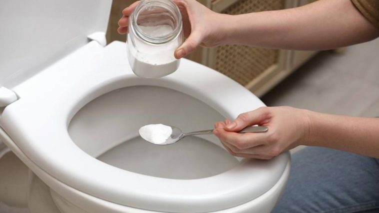 déboucher toilette sans siphon